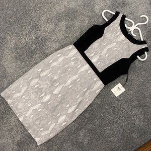 Calvin Klein Snake Skin Print Sleeveless Dress